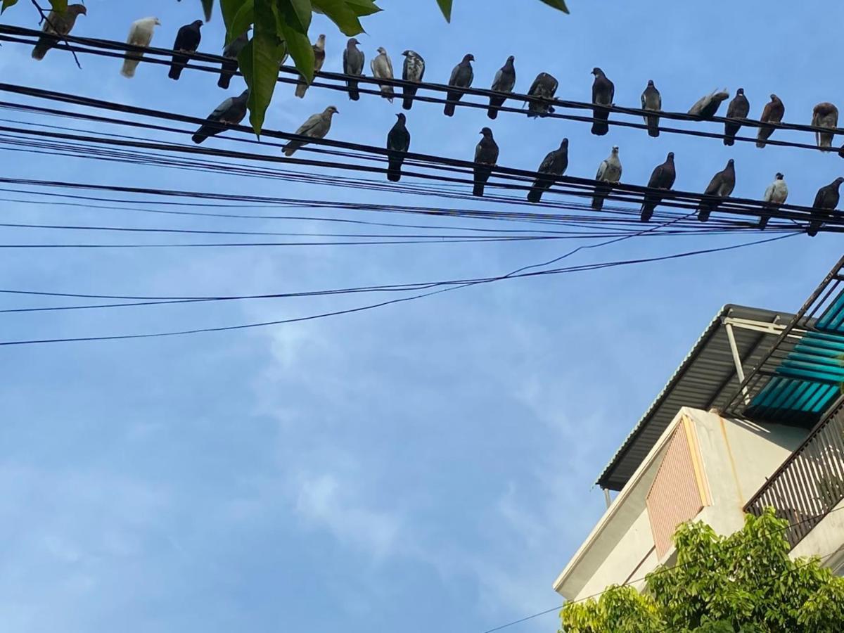 Lu Peaceful Homestay ダナン市 エクステリア 写真